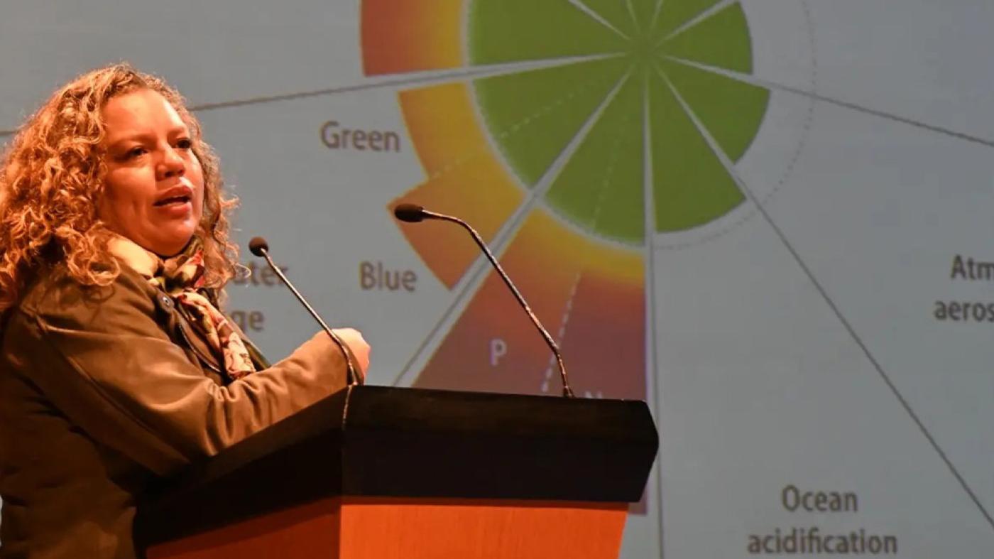 Índice ODS 2022 - Sandra Vilardy