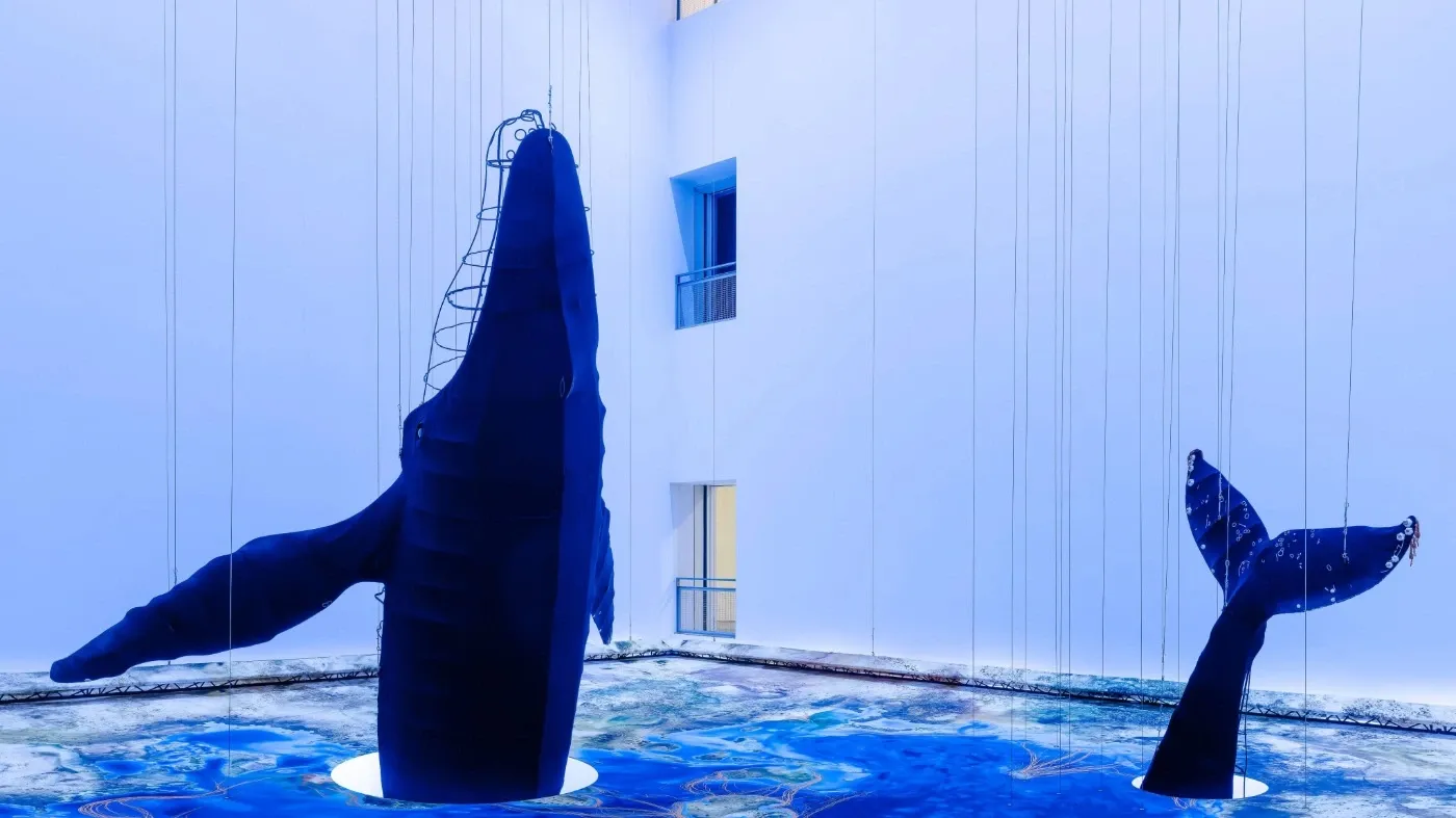 Saludo de las ballenas, Carolina Caycedo 4