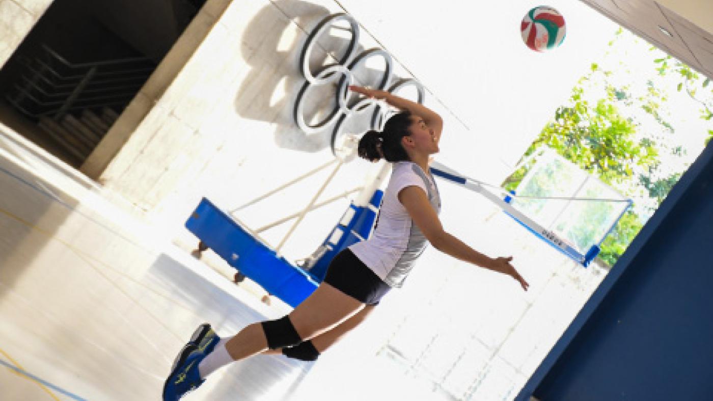 Voley