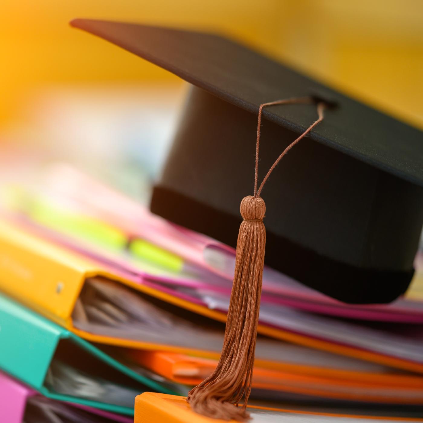 Diversidad-Estudiantes-con-financiación--Recursos