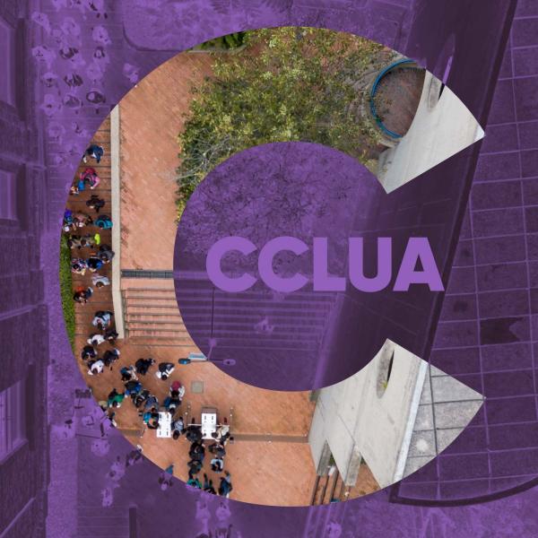 Comité de Convivencia