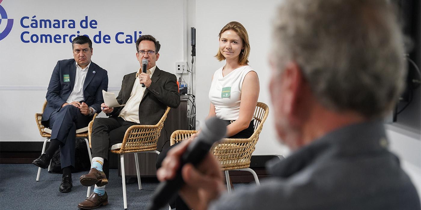 Panel: Reformulación de los DSI 