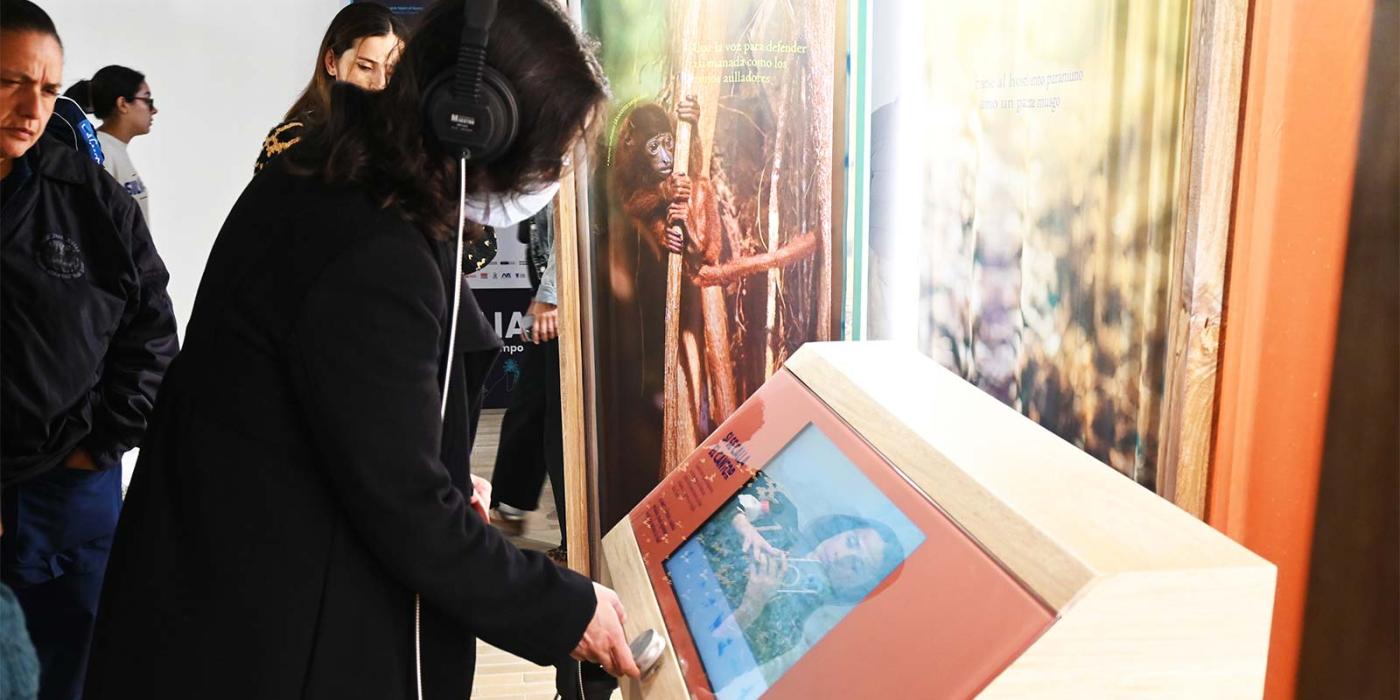 Exposición Biofilia: aguas que tejen el tiempo