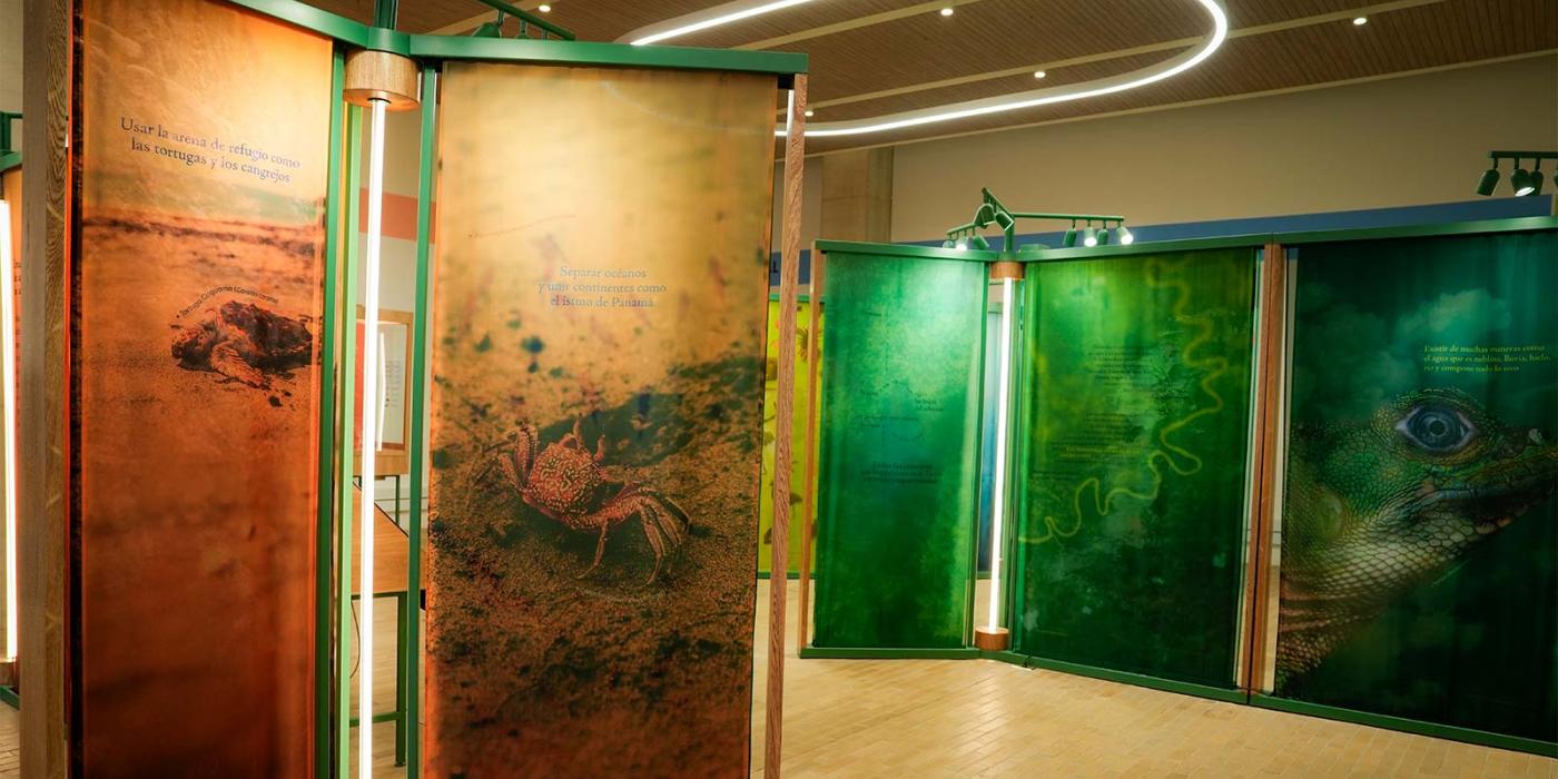 Exposición Biofilia: aguas que tejen el tiempo