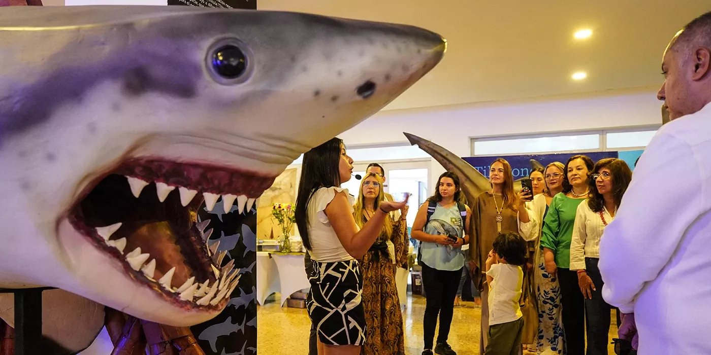 Exposición Tiburones en la COP-16