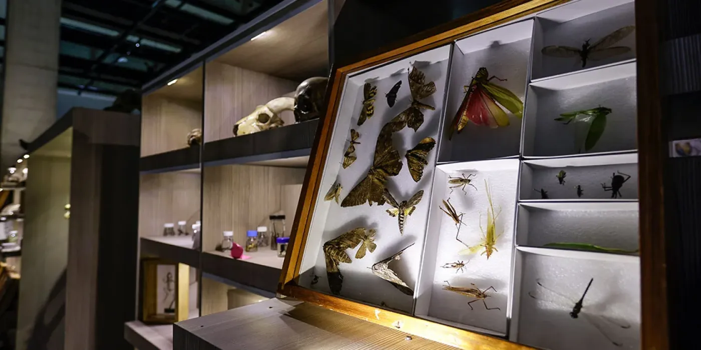 Foto de la exposición Historias Naturales: 400 años de ilustracion científica