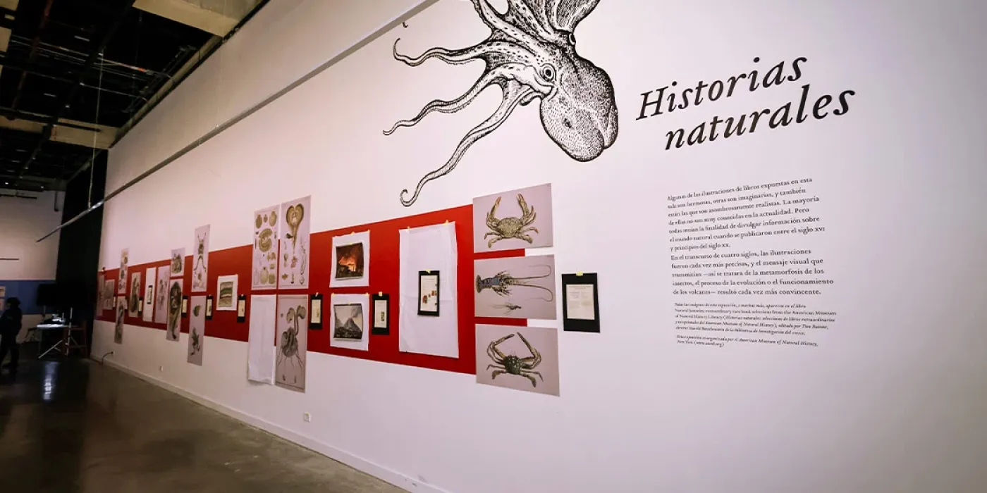 Foto de la exposición Historias Naturales: 400 años de ilustracion científica