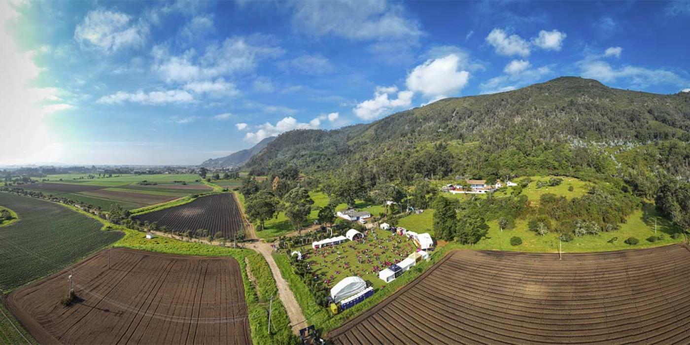 Texto alternativo imagen