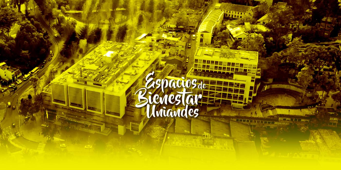 Texto alternativo imagen