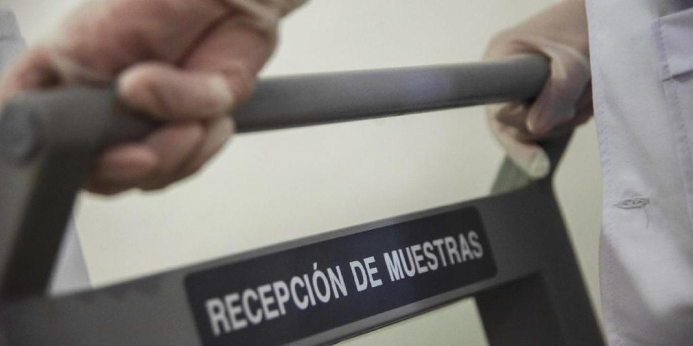 Texto alternativo imagen