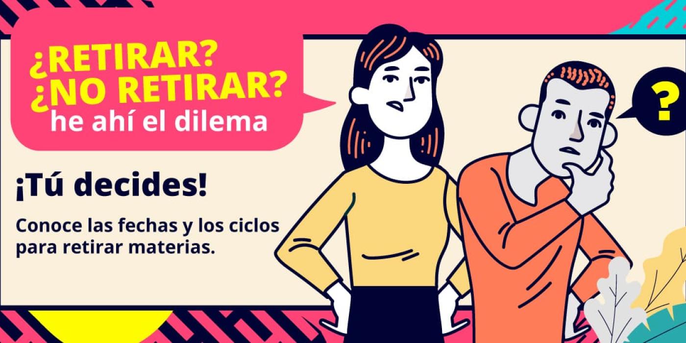 Texto alternativo imagen