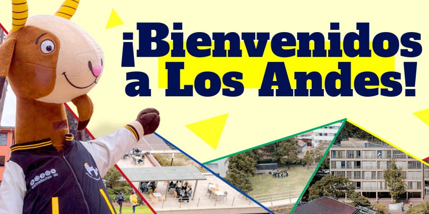 Texto alternativo imagen