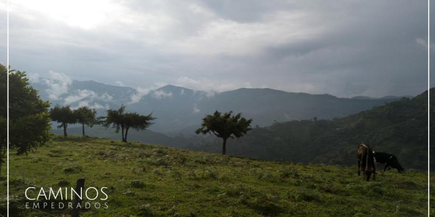 Caminos