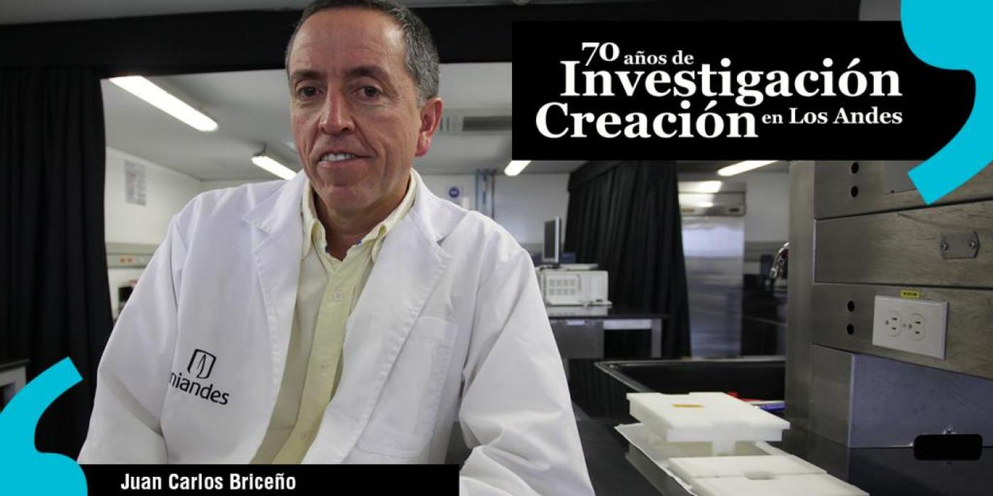 Texto alternativo imagen