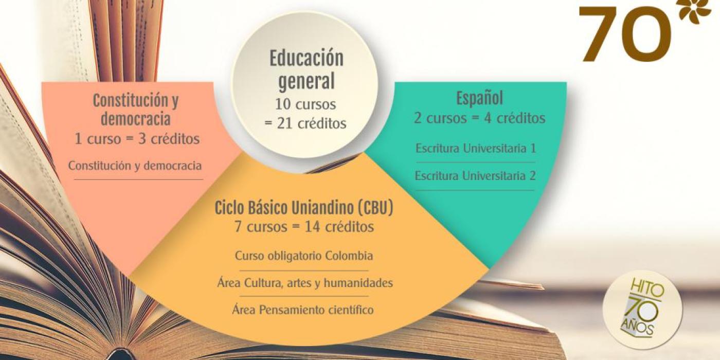 Texto alternativo imagen