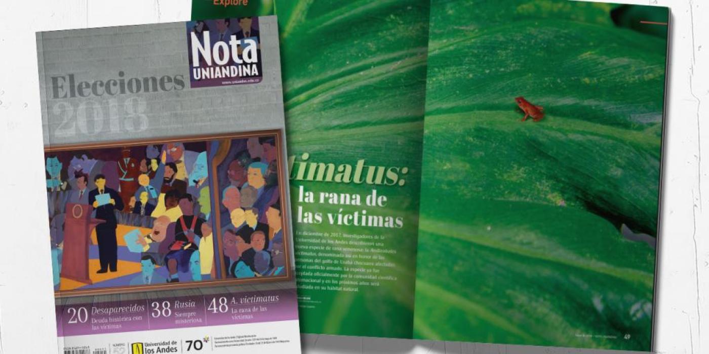 Texto alternativo imagen