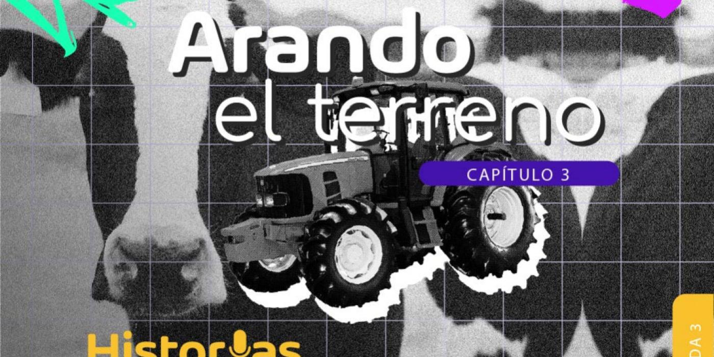 Arando