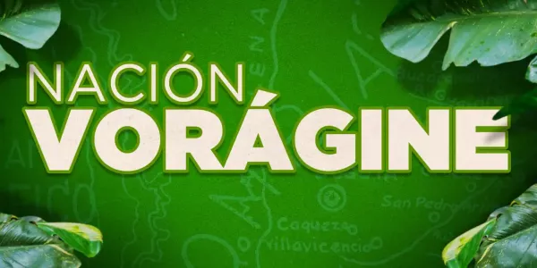 Texto alternativo imagen
