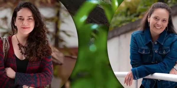 Texto alternativo imagen