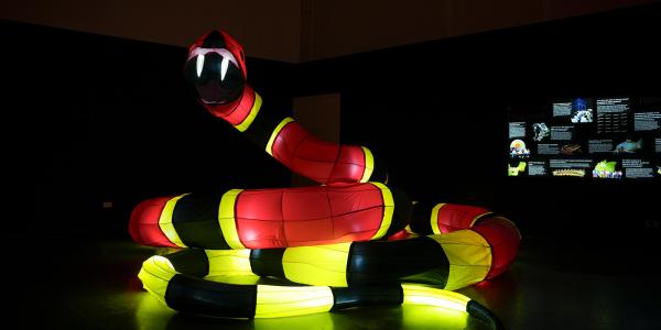 Exposición Venenosos y ponzoñosos