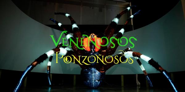 Texto alternativo imagen