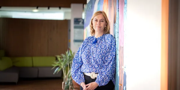 Texto alternativo imagen