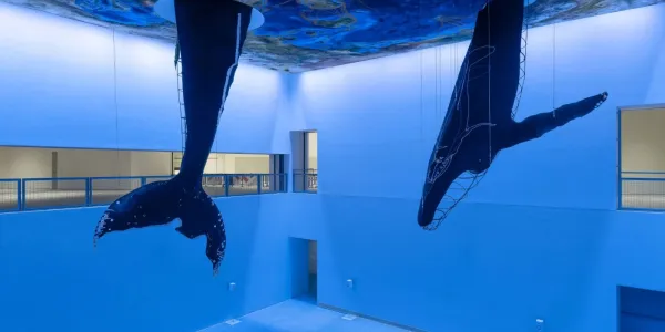 Saludo de las ballenas, Carolina Caycedo 1