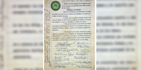 Texto alternativo imagen