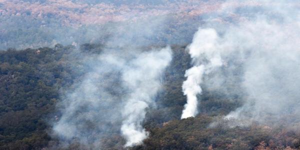 Texto alternativo imagen