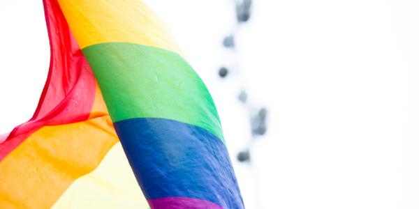 Texto alternativo imagen