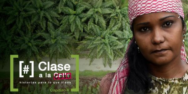 Texto alternativo imagen