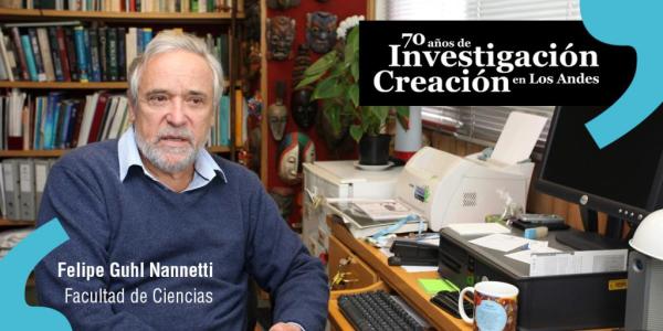 Texto alternativo imagen