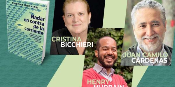 Texto alternativo imagen