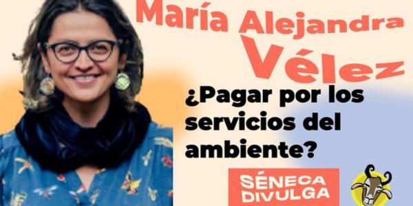Texto alternativo imagen