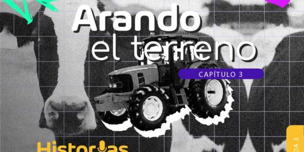 Arando