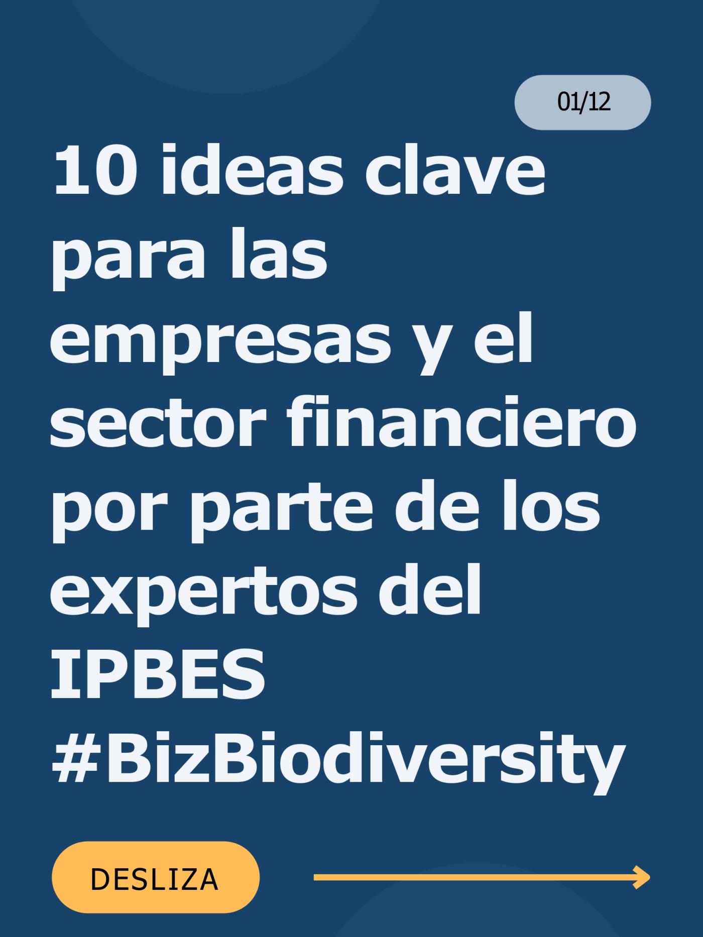 Ideas clave para empresas
