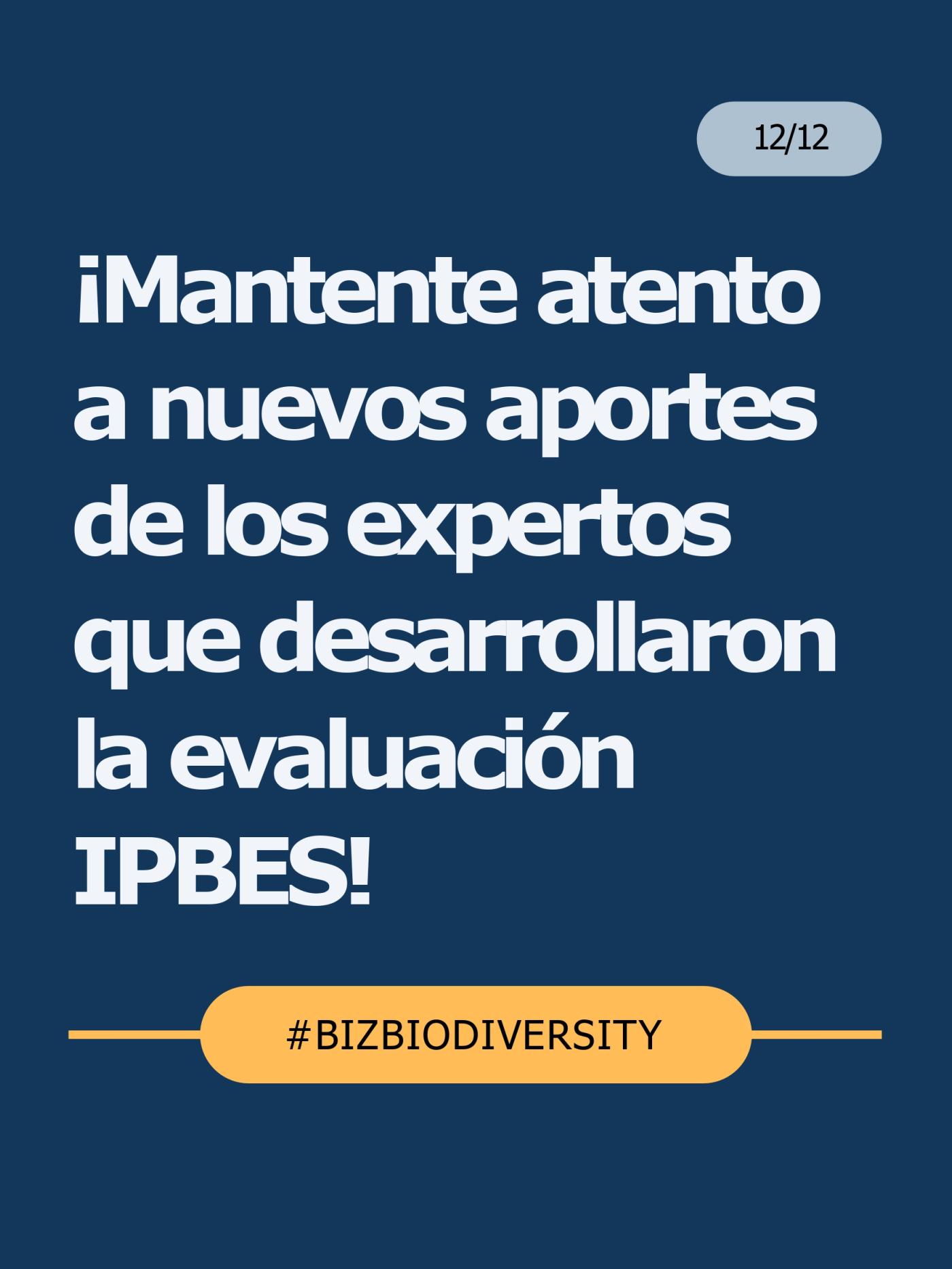 Nuevos aporte