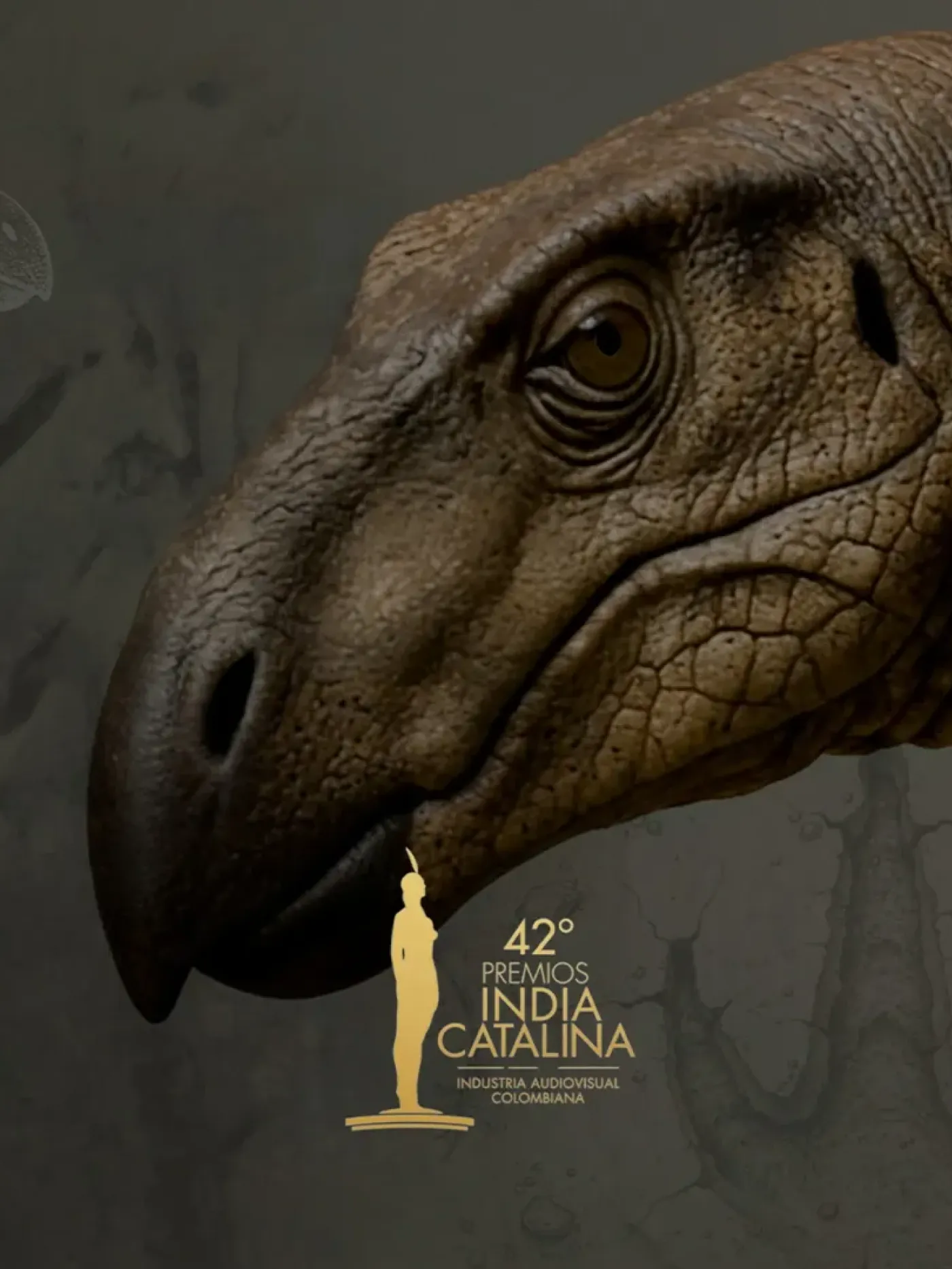 Documental huellas de identidad nominado a los India Catalina