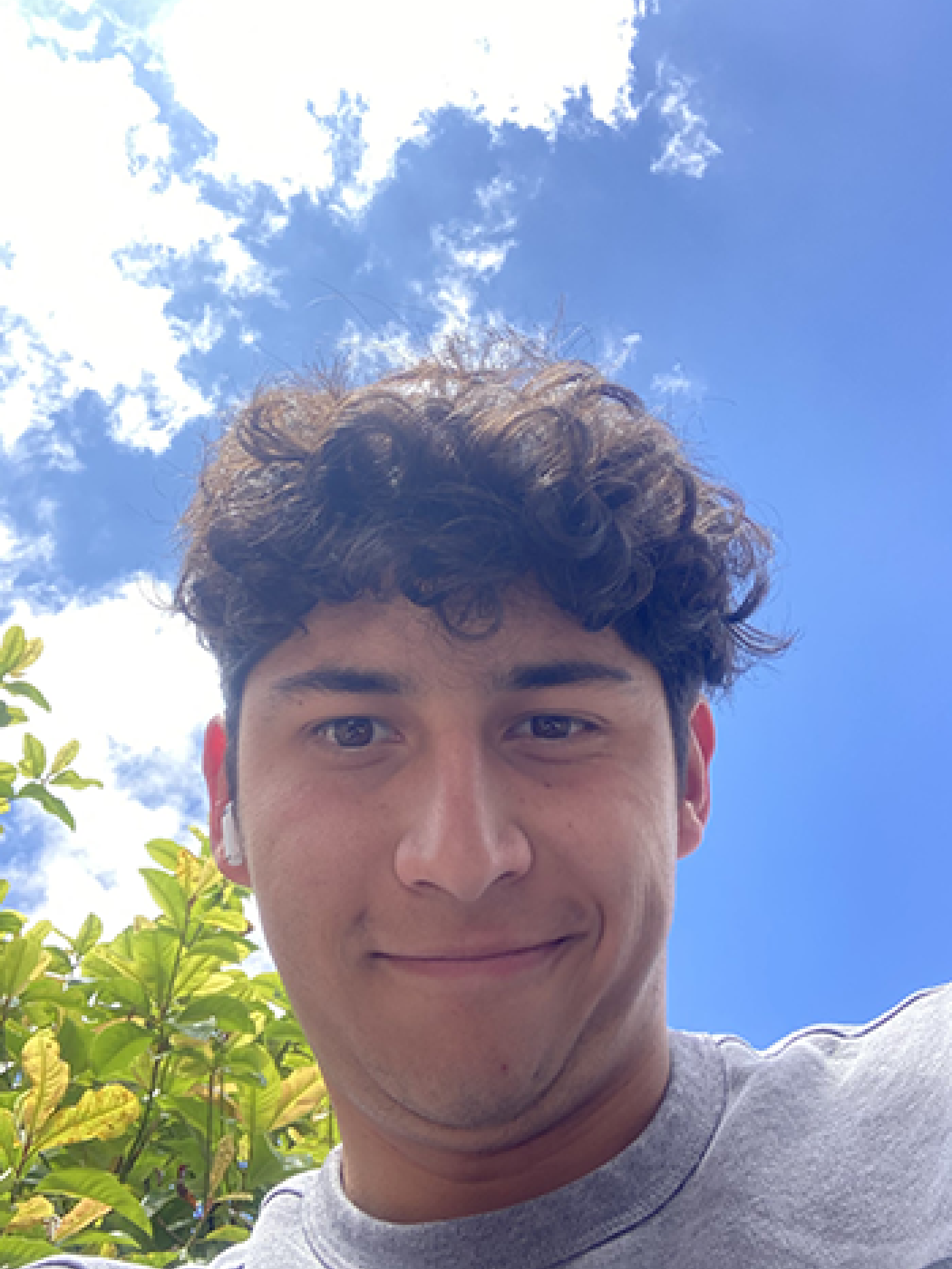 Andres Felipe Alfonso Gamba