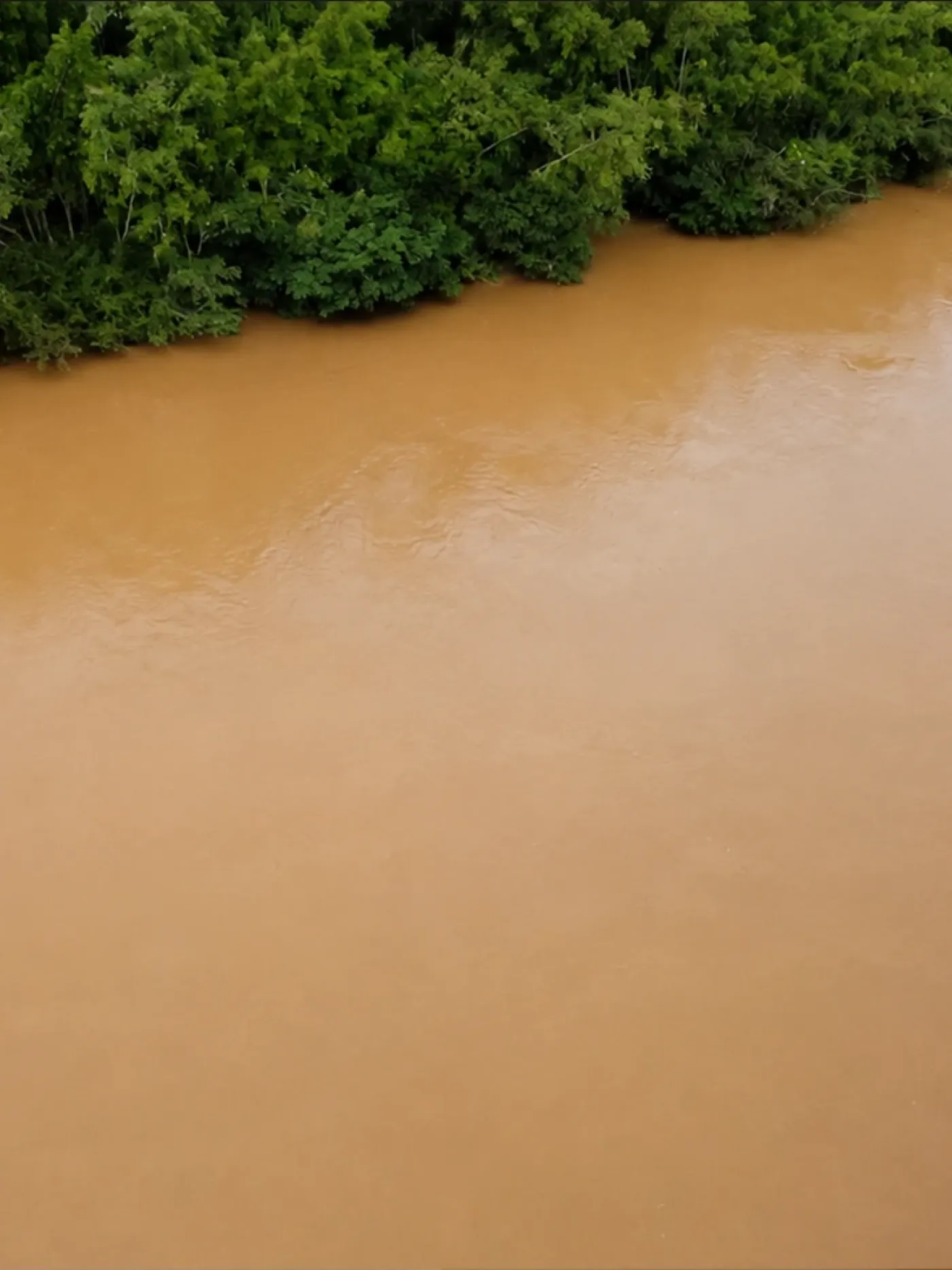Modelo regional de calidad de agua