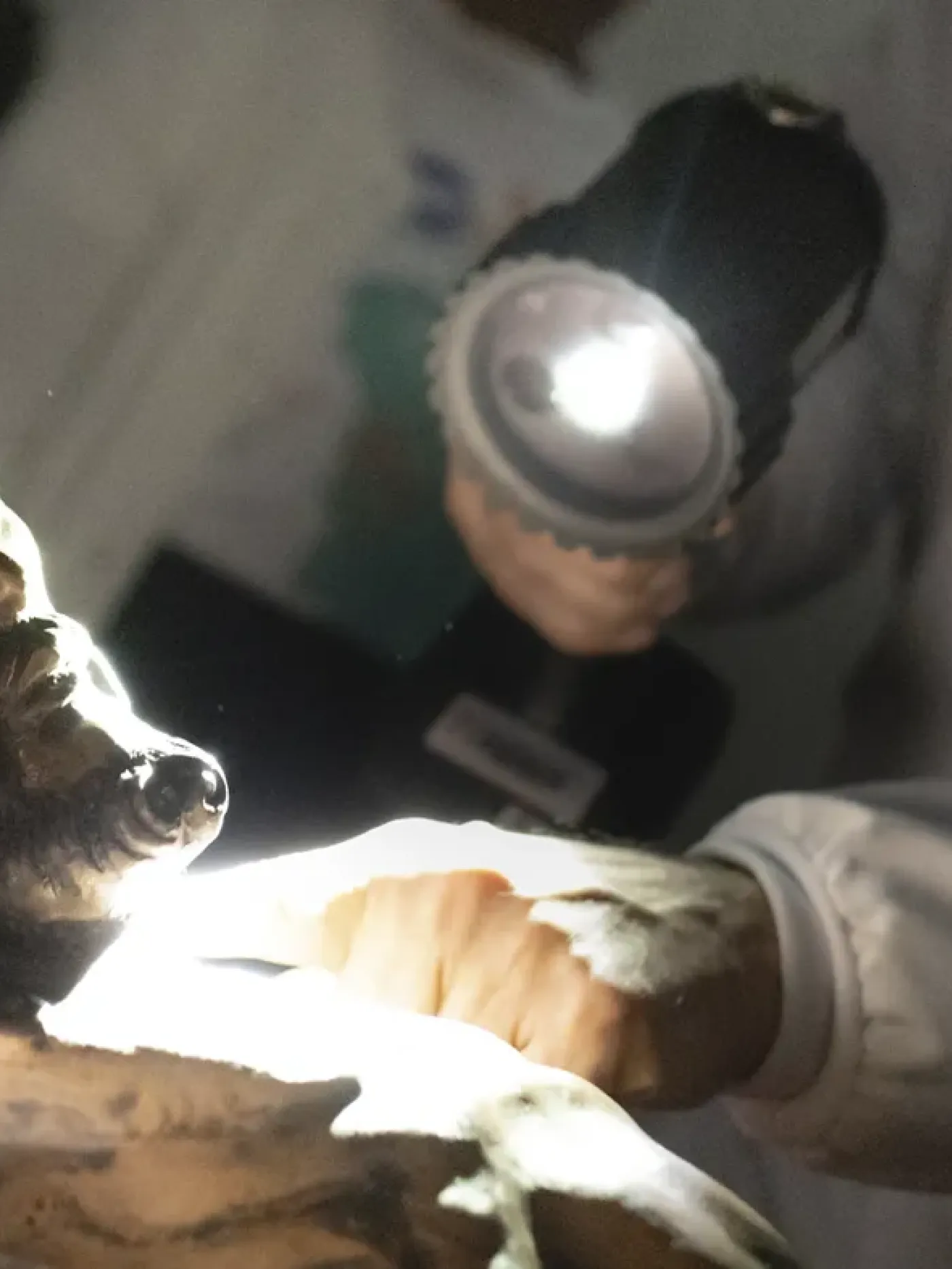 El Cristo Mutilado y el Inmaculado Corazón de María de Bojayá serán Bienes de Interés Cultural
