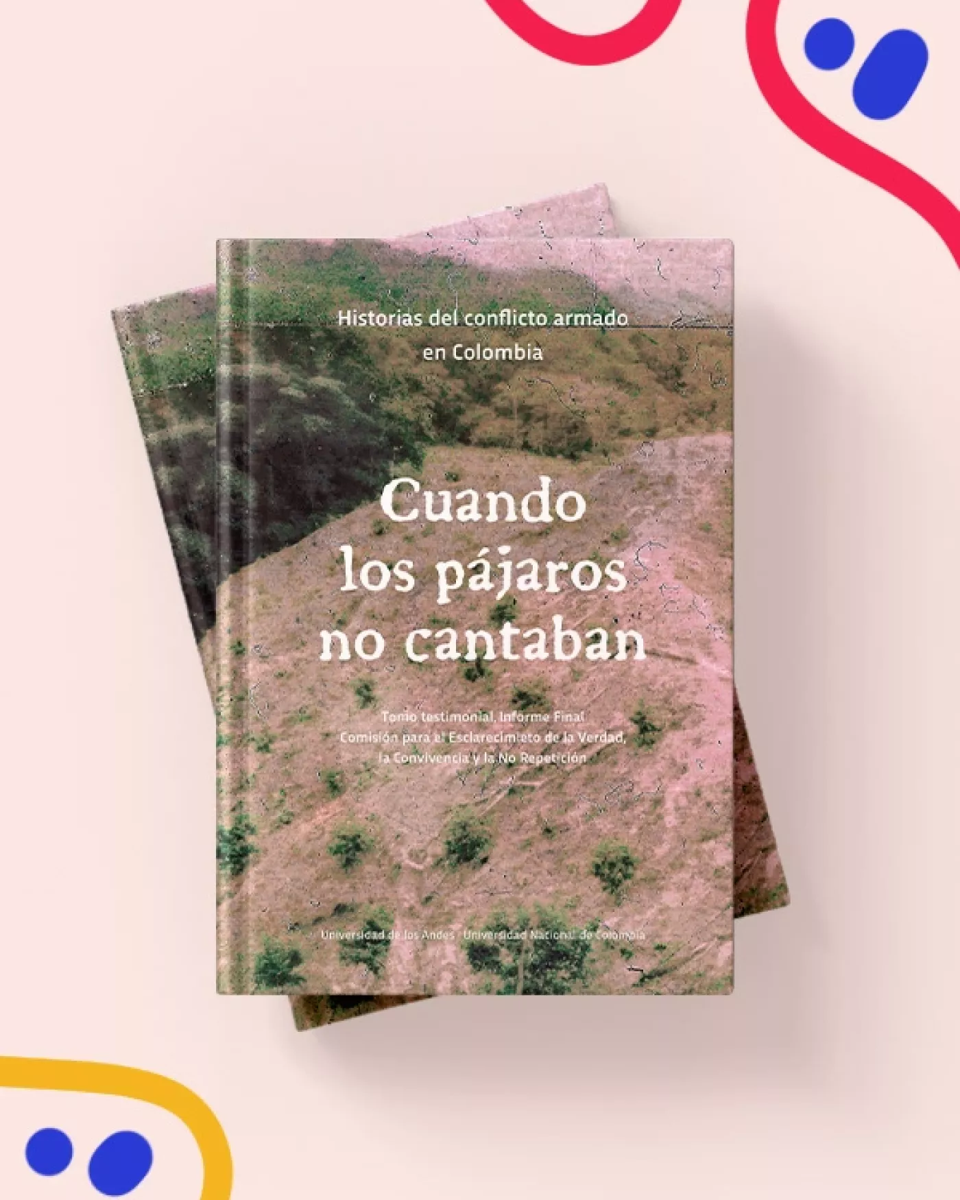 Cuando los pájaros no cantaban