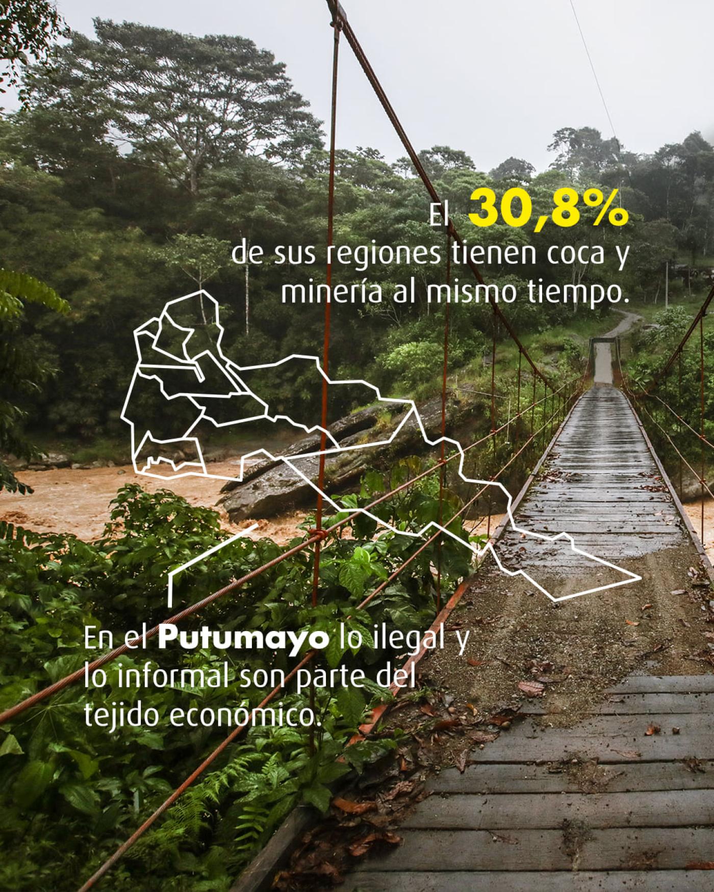 Economías ilícitas y lícitas