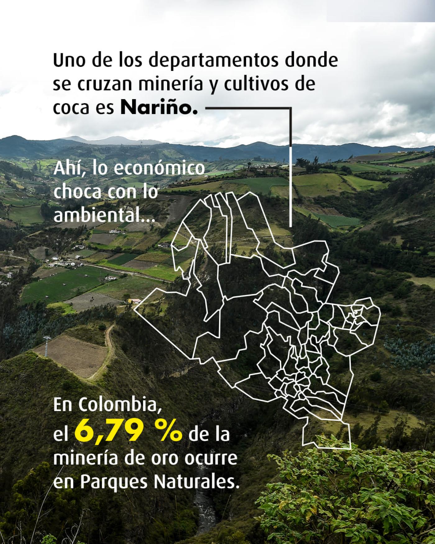 Economías ilícitas y lícitas