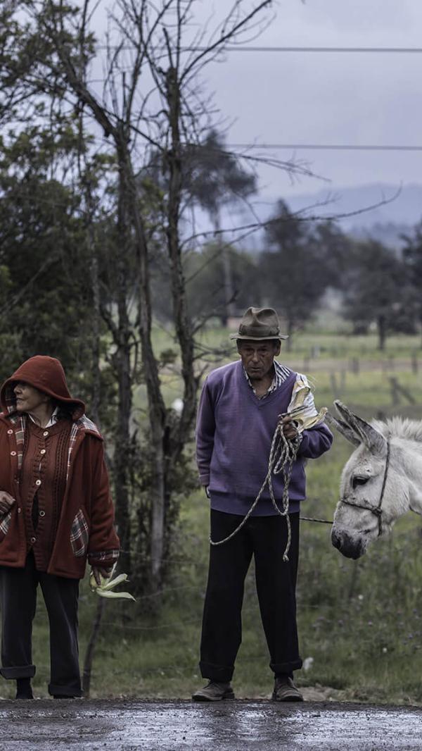 encuesta