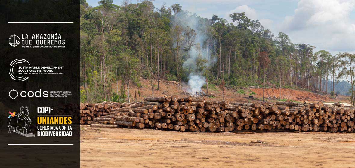 Deforestación de la Amazonía 
